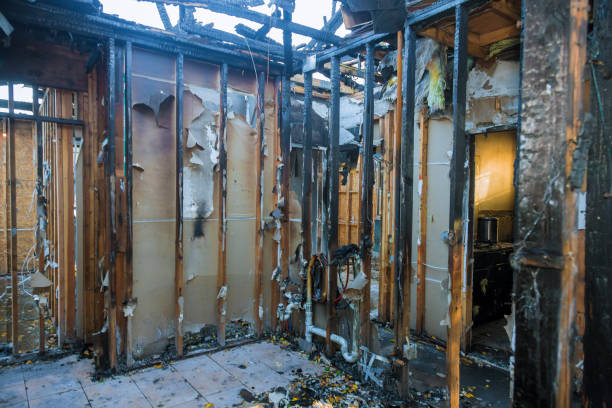 Professional Fire Damage Removal technician working in High Point, FL